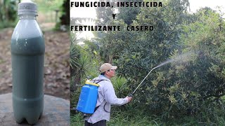 POTENTE Fungicida Insecticida y Fertilizante Casero Plantas Libre de Plagas y muy Hermosas [upl. by Norahs]