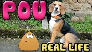 Pou in real life [upl. by Sells]