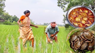 santali old couple collect country crab in field and cooking for their lunch [upl. by Agni]