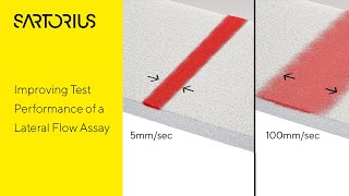 How to Improve Test Performance of a Lateral Flow Assay via Dispenser Setup [upl. by Sagerman]