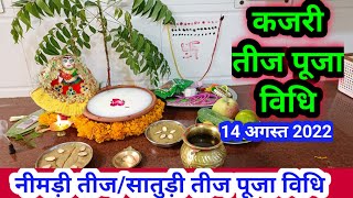 कजरी तीज पूजा विधि  kajari Teej Puja vidhi 2022 [upl. by Zorah]