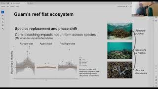 Coral microbiome dynamics in Guams nearshore reefs [upl. by Bronwen]