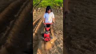 lawn mower manufacturer multifunctional diesel and oil fourwheel drive ✨ [upl. by Channa]