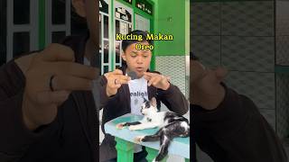 Kucing makan oreo sulap magic sihir shortvideo [upl. by Shellie]