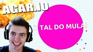 EU SOU O TAL DO MULA  AGARIO Agario [upl. by Acnaiv]