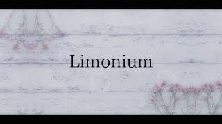 Limonium remix  luijmes [upl. by Aubry]