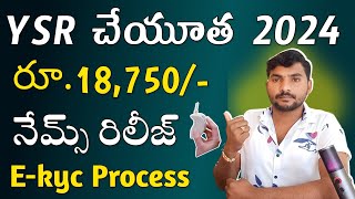 వీరికి మాత్రమే చేయూత 💸  YSR Cheyutha Ekyc Names Release  YSR Cheyutha 2024  YSR Cheyutha Ekyc [upl. by Trebeh913]