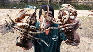 How To Catch Crayfish  Crayfishing Tips [upl. by Nicoline]