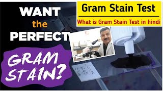 Gram Stain procedure in hindi  How do you perform a Gram stain test  ग्राम स्टैंनिंग कैसे करते है [upl. by Cathyleen825]