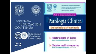 Patologia clinica [upl. by Nnylirej]