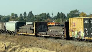 Idaho falls yard with a mixed consist [upl. by Urson]