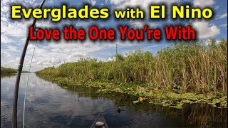 Everglades with El Nino  Alligator Alley Fly Fishing [upl. by Ahsiekar231]