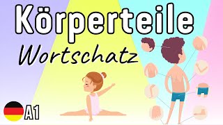 Körperteile lernen  Körperteile Wortschatz  Körper lernen  Body parts in German [upl. by Yriek]