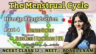 The Menstrual Cycle  Human Reproduction Part 4  NCERT  NEET  CLASS 12  CBSE  ISCE Concept [upl. by Adnyc]