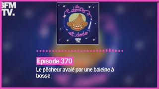 Episode 370  le pêcheur avalé par une baleine à bosse [upl. by Aicekat]