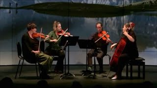 KARSKI QUARTET “The Disappearance of Lisa Gherardini” [upl. by Kippie880]