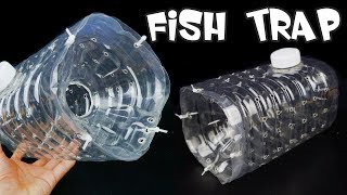 How to Make a Fish Trap with Plastic Bottle [upl. by Akilak]