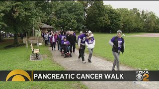 Hundreds Of People Set To Participate In PurpleStride Pittsburgh Walk [upl. by Turrell684]