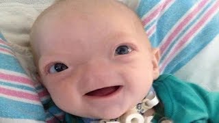 Meet Cutest babies Ever  Cute Babies and Toddlers Compilation [upl. by Godard]