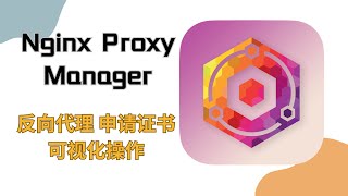 Nginx Proxy Manager中文版反向代理神器、docker部署 [upl. by Konopka]