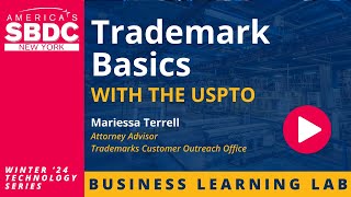 Trademark Basics with the USPTO [upl. by Kreitman]