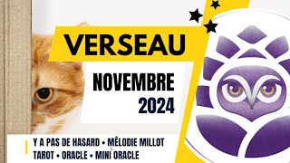 ♒️ VERSEAU • NOVEMBRE 2024 • Y a pas de hasard 😉 • TAROSCOPE DU MOIS [upl. by Noda]