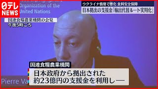 【ウクライナ情勢で悪化】食料安全保障 日本拠出の支援金「輸入代替ルート実用化」 [upl. by Corabel]