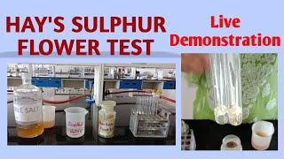 Hays sulphur test  Tests for bile salts  Bile salts in urine  Biochemistry [upl. by Klimesh272]