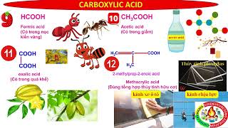 CARBOXYLIC ACID  DANH PHÁP CÁC HỢP CHẤT TRONG SÁCH GIÁO KHOA CTSTKNTTCÁNH DIỀU  HÓA 11 MỚI [upl. by Raina]