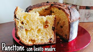 Panettone con lievito madre semplificato con impasto unico [upl. by Mercola]