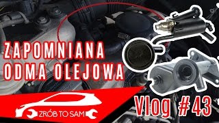 Odma olejowa objawy  diagnoza  omówienie Vlog 43 [upl. by Alleras]