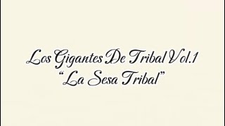 La Sesa Tribal LGDT Vol1 [upl. by Danais324]