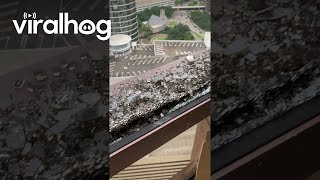 High Rise Windows Shattered After Houston Storm  ViralHog [upl. by Ettesel]