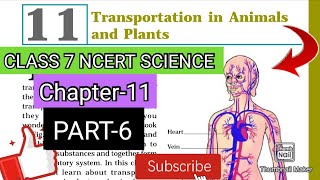 TRANSPORTATION IN ANIMALS AND PLANTS 🪴✅️CLASS 7 NCERT SCIENCEPART6 biology ncert science [upl. by Griseldis]