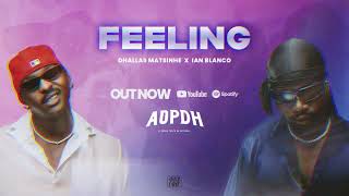 AOPDH  FEELING Feat Dhallas Matsinhe Ian Blanco AUDIO [upl. by Yanej]