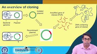 Lecture 43  Basics of rDNA Technology Part  I [upl. by Iams220]