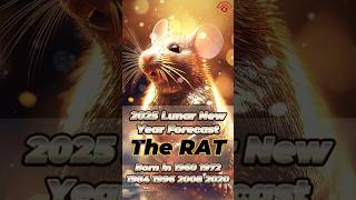 2025 Chinese Zodiac Forecast  RAT [upl. by Schapira]