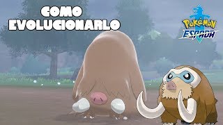 Como Evolucionar A Piloswine A Mamoswine En Pokemon Espada Y Escudo [upl. by Tammie747]