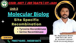 Site Specific Recombination  Tyrosine amp Serine Recombinase  L13  Molecular Biology  Unit3 [upl. by Gustaf429]