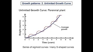 103 Growth pattern  2 Unlimited growth curve perennial plant [upl. by Azar314]