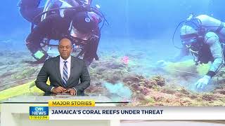 Jamaicas Coral Reefs Under Threat  CVMTVNews [upl. by Inverson35]