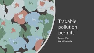 Tradable pollution permits [upl. by Dominique401]