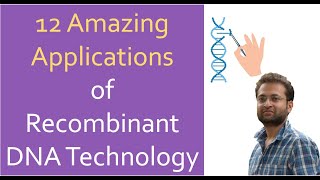 Applications of Recombinant DNA Technology RDT  Genetic Engineering [upl. by Edda]