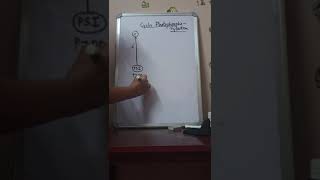 PLUS ONE BOTANYPHOTOSYNTHESISpartl MECHANISM OF PHOTOSYNTHESIS [upl. by Win]