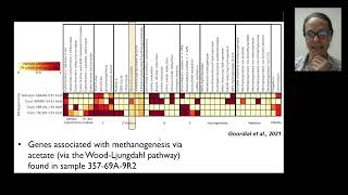 SerpentineDays Webinar Susan Q Lang WHOI and Mathilde Cannat IPGP [upl. by Corrinne31]