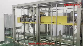 25kg Automatic Bagging Machine Line [upl. by Veleda]