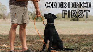 Retriever Training Do THIS FIRST  BASIC Obedience Training Video 2 [upl. by Helli]