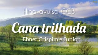 Cana trilhada  Ebner Crispim e Junior [upl. by Dominik918]