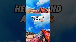 HELLHOUND LEGENDARY AKM 🔥 [upl. by Barbour19]