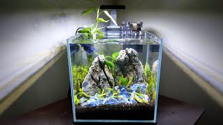 SeaPora Rimless Aquarium Set up [upl. by Euqram155]